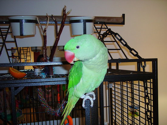 Image Image